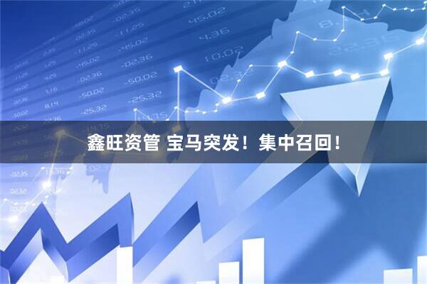 鑫旺资管 宝马突发！集中召回！