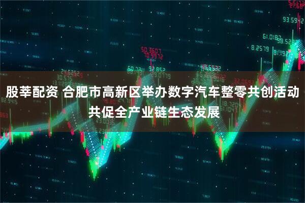 股莘配资 合肥市高新区举办数字汽车整零共创活动 共促全产业链生态发展