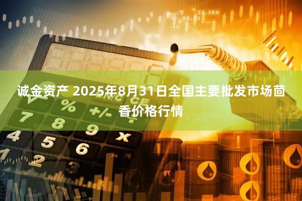 诚金资产 2025年8月31日全国主要批发市场茴香价格行情