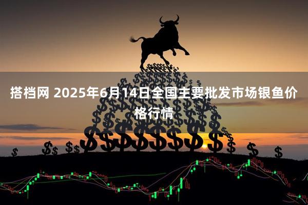 搭档网 2025年6月14日全国主要批发市场银鱼价格行情