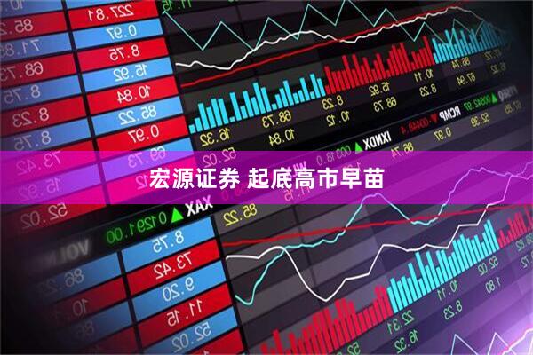 宏源证券 起底高市早苗