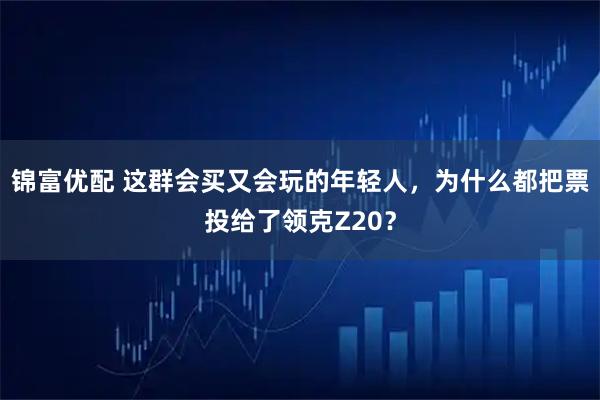 锦富优配 这群会买又会玩的年轻人,为什么都把票投给了领克Z20?