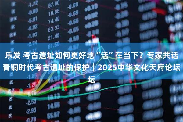 乐发 考古遗址如何更好地“活”在当下?专家共话青铜时代考古遗址的保护|2025中华文化天府论坛