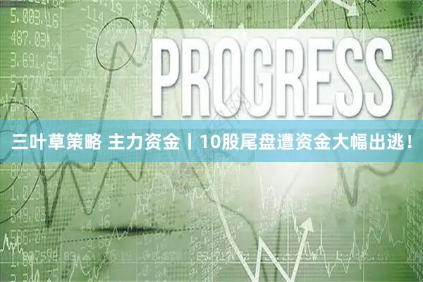 三叶草策略 主力资金丨10股尾盘遭资金大幅出逃！